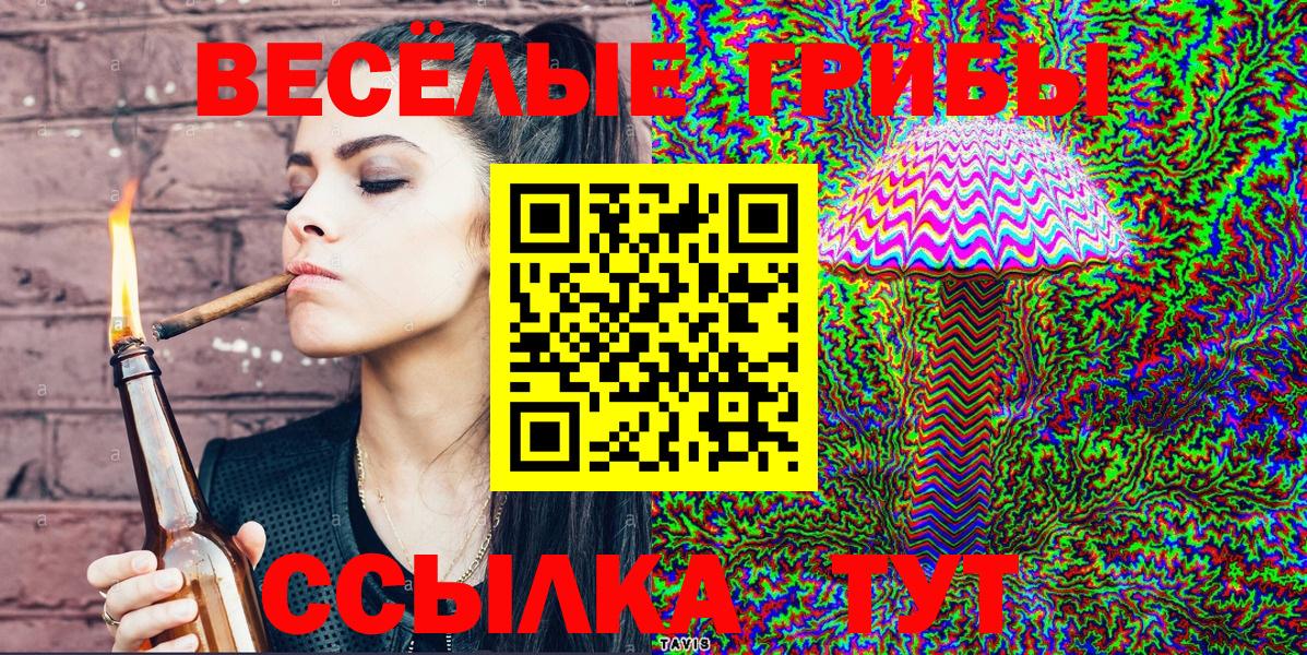 Кудрово  Псилоцибиновые грибы Psilocybine cubensis  Вход с VPN 