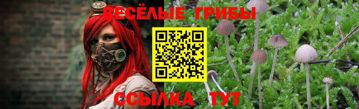 Галлюциногенные грибы Cubensis Кудрово